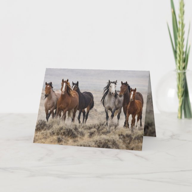 "Wild Mares and Foal on the Move" Einladung (Vorderseite)