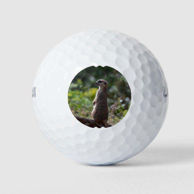 Wild Meerkat Golfball (Vorderseite)