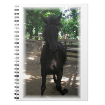 "Wild Mintaka!" Notizbuch