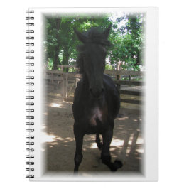 "Wild Mintaka!" Notizbuch Notizblock