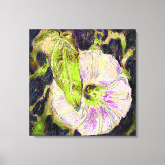 Wild Morning Glory von Alexandra Cook Leinwanddruck (Vorderseite)
