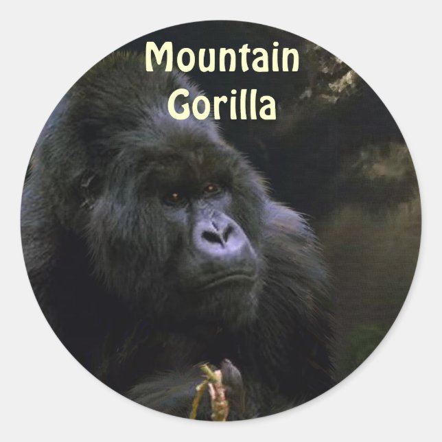 Wild Mountain Gorilla Primat Stickers (Vorderseite)