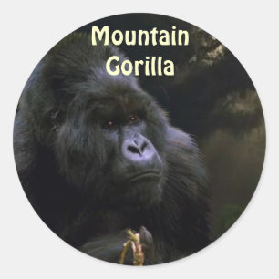 Wild Mountain Gorilla Primat Stickers