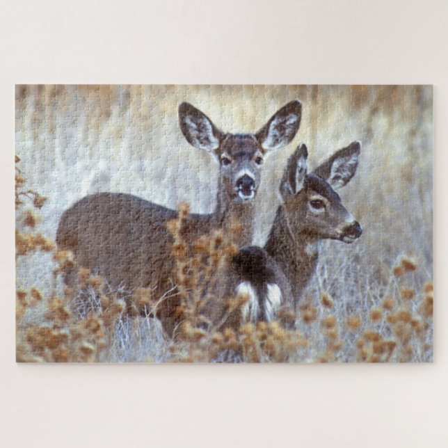 Wild Mule Deer Pair | Kalifornien (Horizontal)