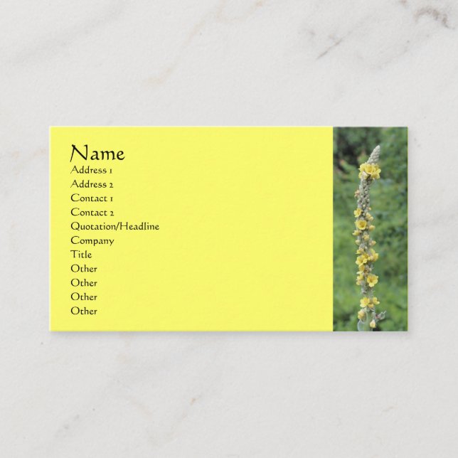 Wild-Mullein-Blumenfotografie-Visitenkarte Visitenkarte (Vorderseite)
