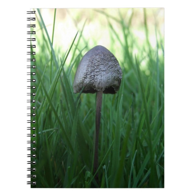 Wild Mushroom-Notebook Notizblock (Vorderseite)