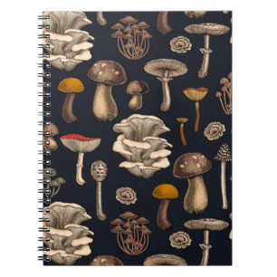 Wild Mushrooms auf grafischem schwarzem Notebook Notizblock