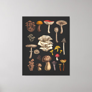 Wild Mushrooms on Grafit Leinwanddruck