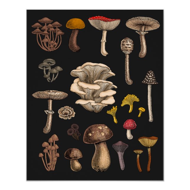 Wild Mushrooms on Grafit Poster (Vorderseite)