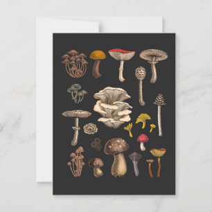 Wild Mushrooms on Grafit Postkarte