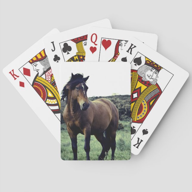 Wild Mustang Deck of Cards Spielkarten (Rückseite)