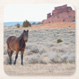 Wild Mustang Foal Rechteckiger Pappuntersetzer