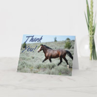Wild Mustang Foto Danke, Card
