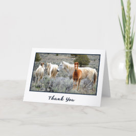 Wild Mustang Herd Foto Danke, Card Dankeskarte