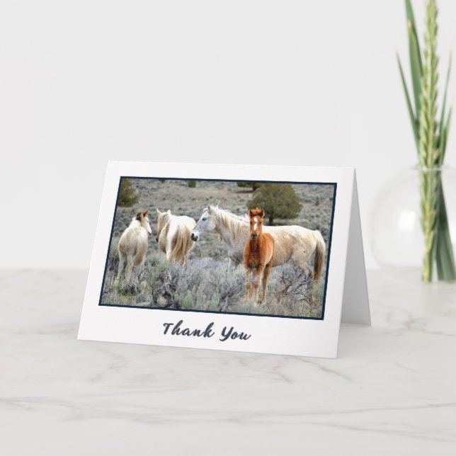 Wild Mustang Herd Photo Carte de remerciements (Devant)
