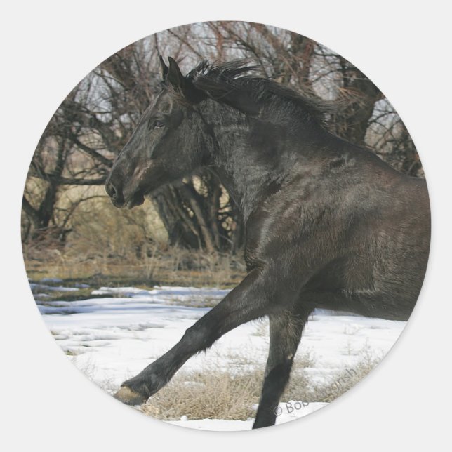 Wild Mustang Horse im Schnee 2 Runder Aufkleber (Vorderseite)