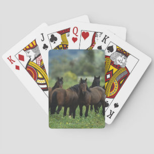 Wild Mustang Horses 3 Spielkarten