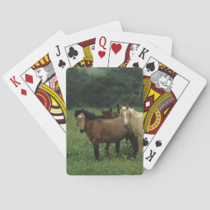 Wild Mustang Horses 4 Spielkarten