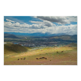 Wild Mustang Horses of Carson City, Nevada Foto