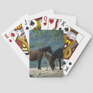 Wild Mustang Mare & Foal Spielkarten