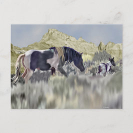 Wild Mustang Mare und Foal Postkarte