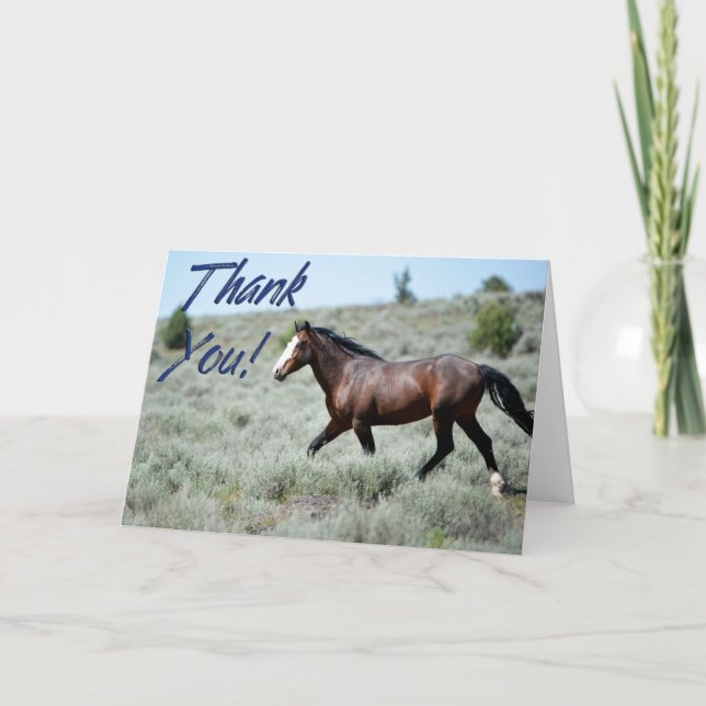 Wild Mustang Photo Carte de remerciements (Devant)