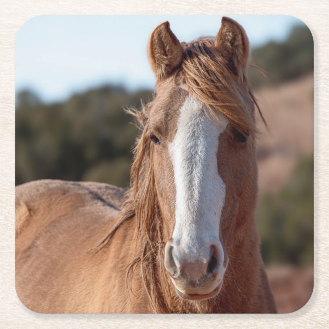 Wild Mustang Rechteckiger Pappuntersetzer (Vorderseite)