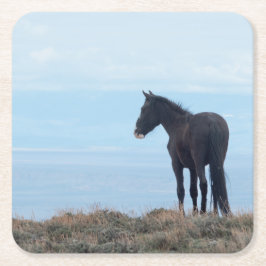 Wild Mustang Rechteckiger Pappuntersetzer