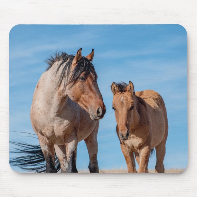 Wild Mustang Stallion und Wild Horse Foal Mousepad (Vorne)