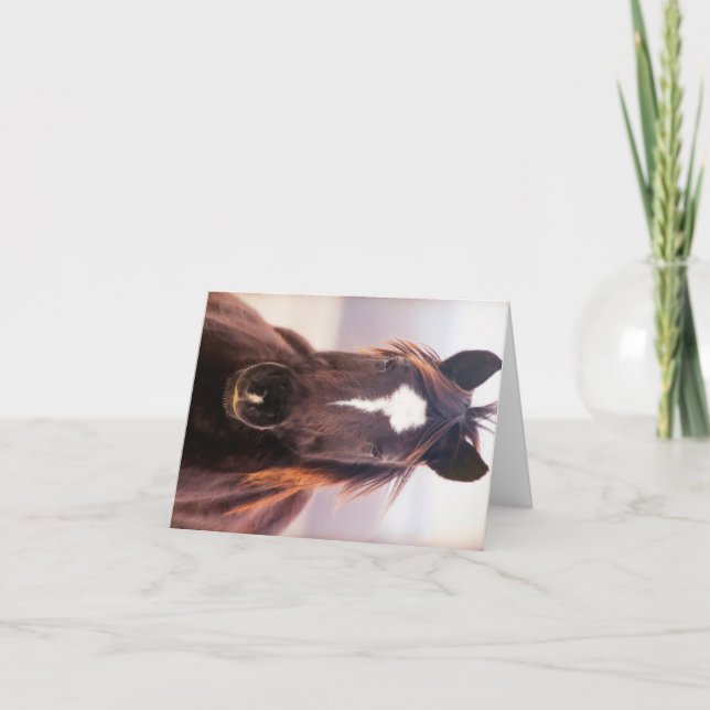 Wild Mustange Oklahoma Dankeskarte (Vorderseite)