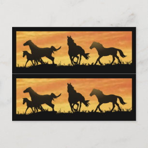 Wild Mustangs Postkarte