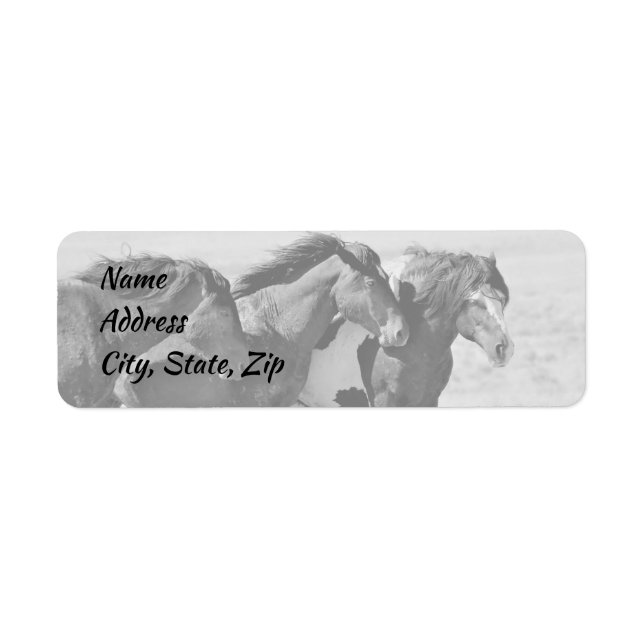 Wild Mustangs von der Westadresse (Vorne)