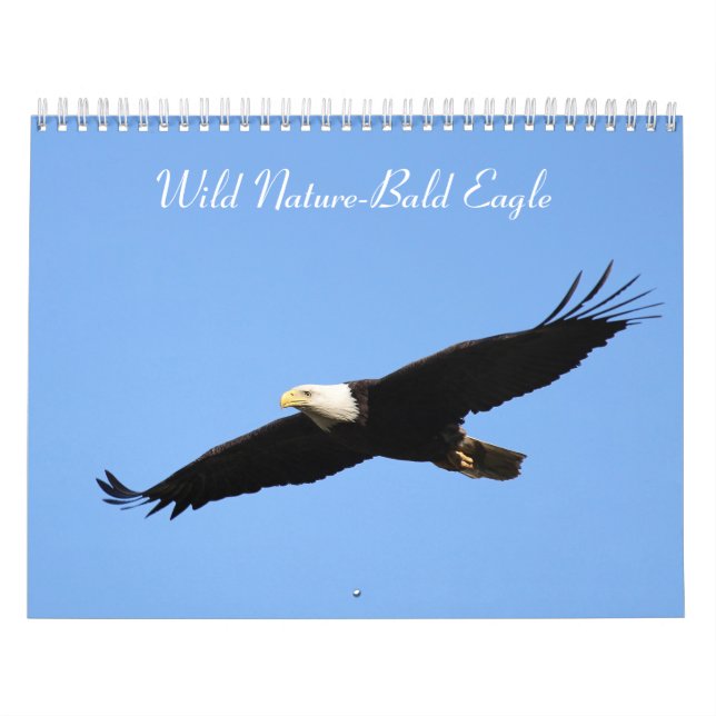 Wild Nature-Bald-Adler-Foto Kalender (Titelbild)
