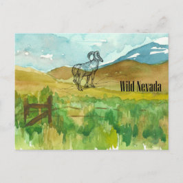 Wild Nevada Bighorn Sheep Wüste Landschaft Postkarte