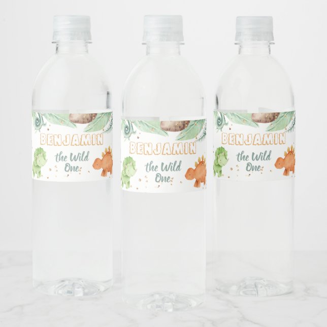 Wild One Jurassic Dinosaurier 1. Geburtstag (Flaschen)