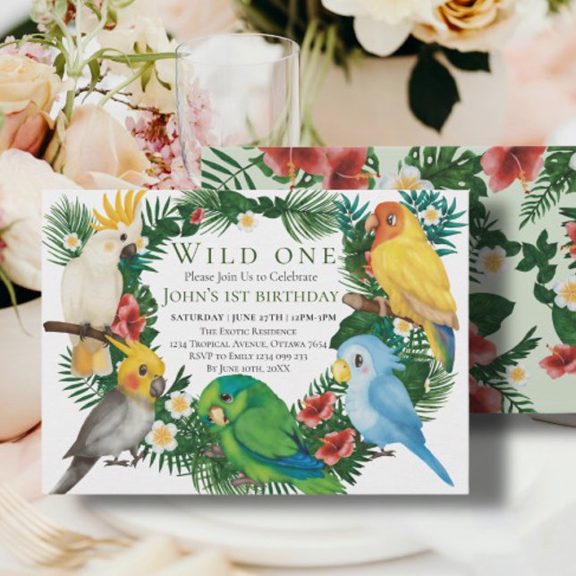 Wild One Tropical Exotic Parrots Junge 1. Geburtst Einladung (Von Creator hochgeladen)
