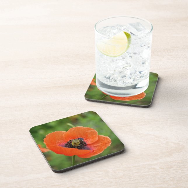 Wild Orange Poppy Blume (NZ) Set von 6 Untersetzer (Rechte Seite)