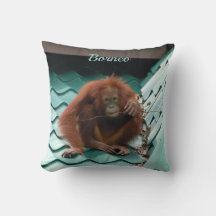 Wild Orangutan Ape auf Dach in Borneo Fotografie