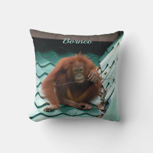 Wild Orangutan Ape auf Dach in Borneo Fotografie Kissen