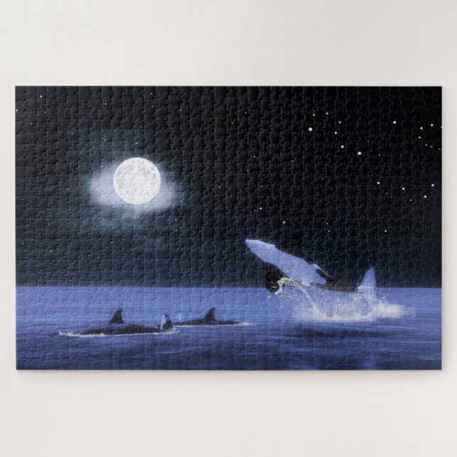 Wild Orcas Moonlight Swim (Horizontal)