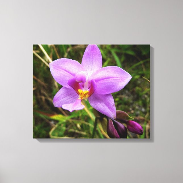 Wild Orchid Lila tropische Blume Leinwanddruck (Vorderseite)
