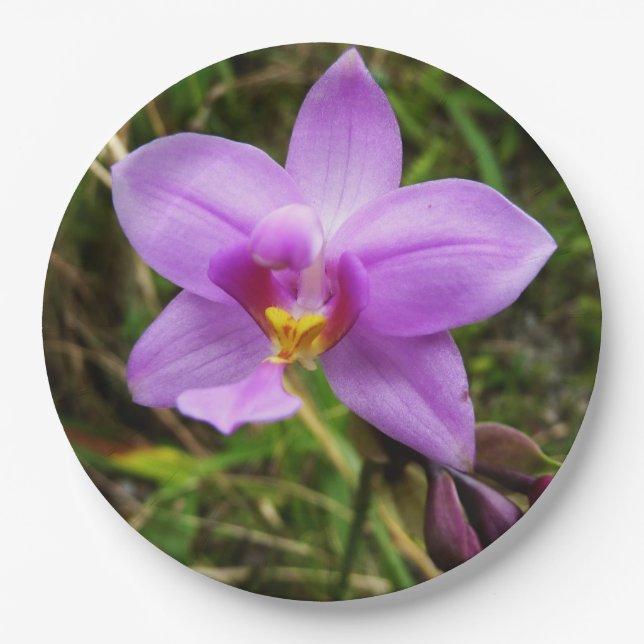 Wild Orchid Lila tropische Blume Pappteller (Vorderseite)