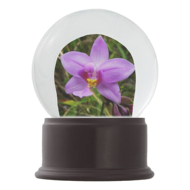 Wild Orchid Lila tropische Blume Schneekugel (Rückseite)