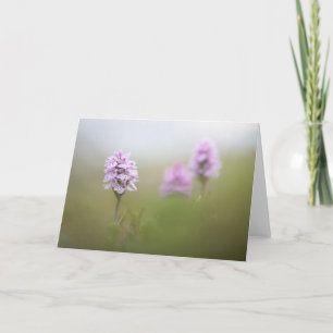 Wild Orchid Nature Foto Karte
