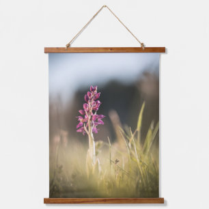Wild Orchid Nature Foto Wandteppich Mit Holzrahmen