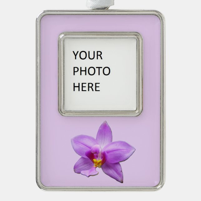 Wild Orchid Purple Tropical Flower Rahmen-Ornament Silber (Vorderseite)