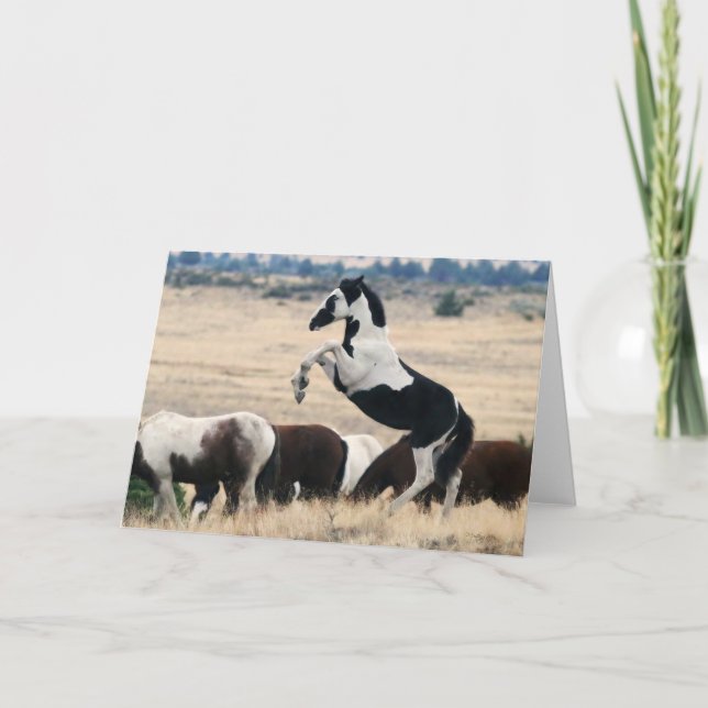 Wild Oregon Pinto Filly - HOPI Notecard (Vorderseite)