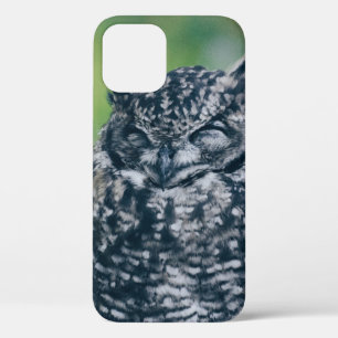 WILD OWW IN FRANZÖSISCHEN WALDEN Case-Mate iPhone HÜLLE