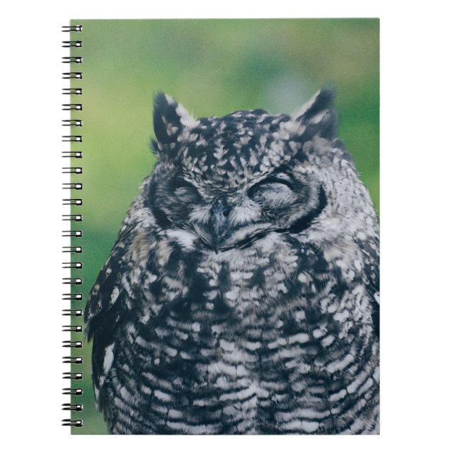 WILD OWW IN FRANZÖSISCHEN WALDEN NOTIZBLOCK (Vorderseite)