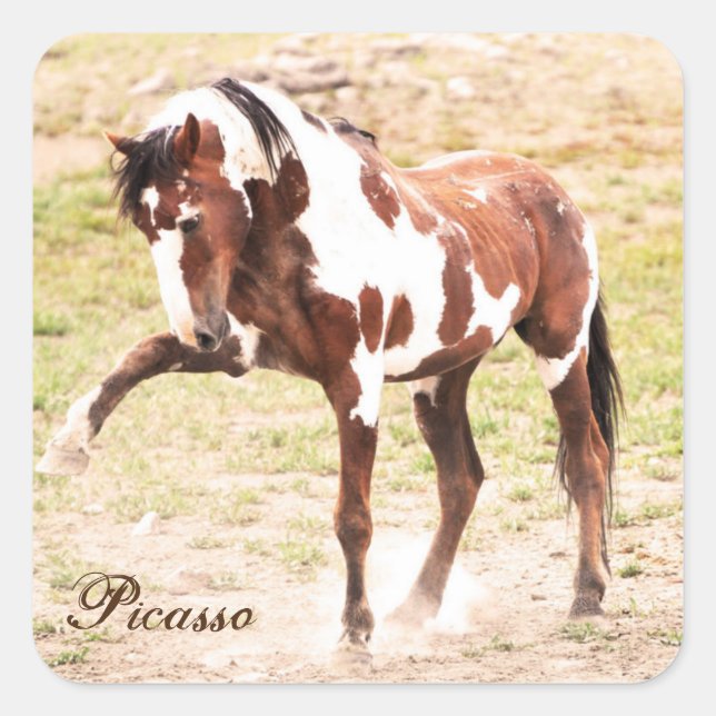 Wild Paint Horse Stallion Picasso Stickers (Vorderseite)